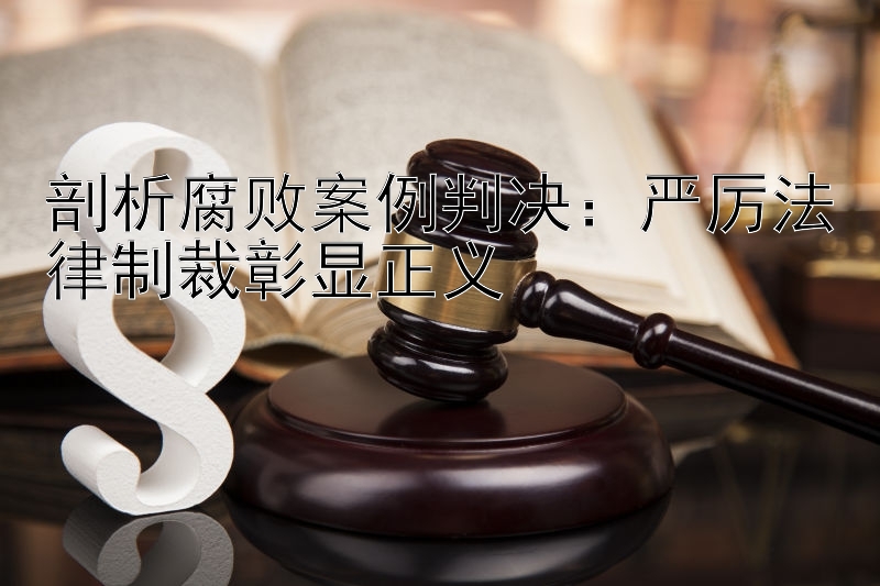 剖析腐败案例判决：严厉法律制裁彰显正义