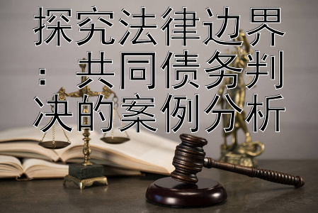 探究法律边界：共同债务判决的案例分析