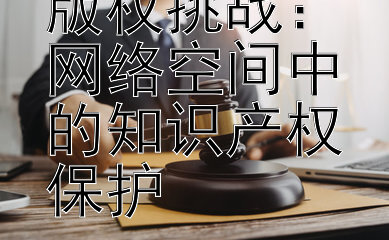 数字时代的版权挑战：网络空间中的知识产权保护