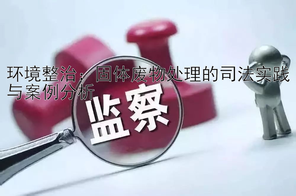 环境整治：固体废物处理的司法实践与案例分析