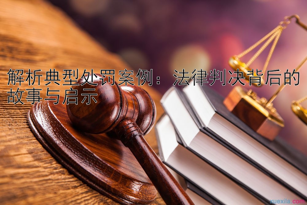 解析典型处罚案例：法律判决背后的故事与启示