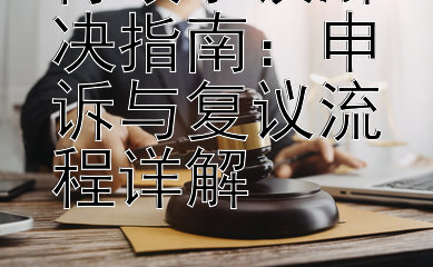 行政争议解决指南：申诉与复议流程详解