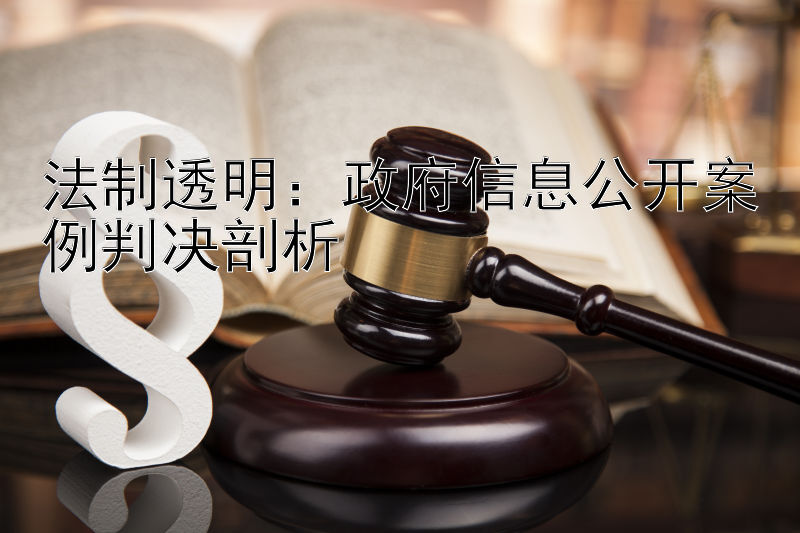 法制透明：政府信息公开案例判决剖析