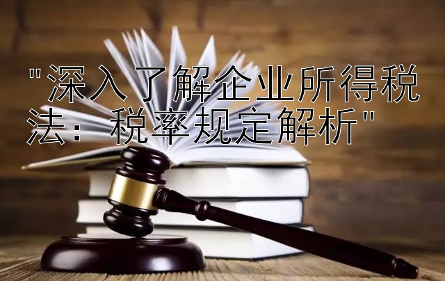 深入了解企业所得税法：税率规定解析