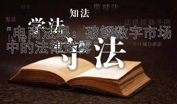 电商法眼：破解数字市场中的法律迷雾