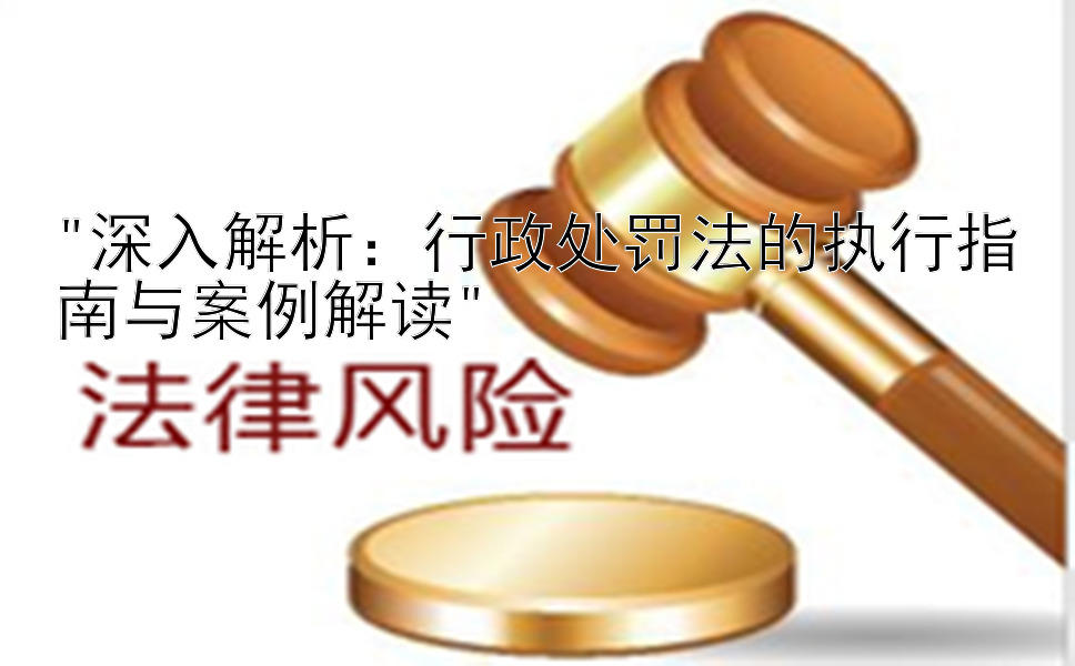 深入解析：行政处罚法的执行指南与案例解读