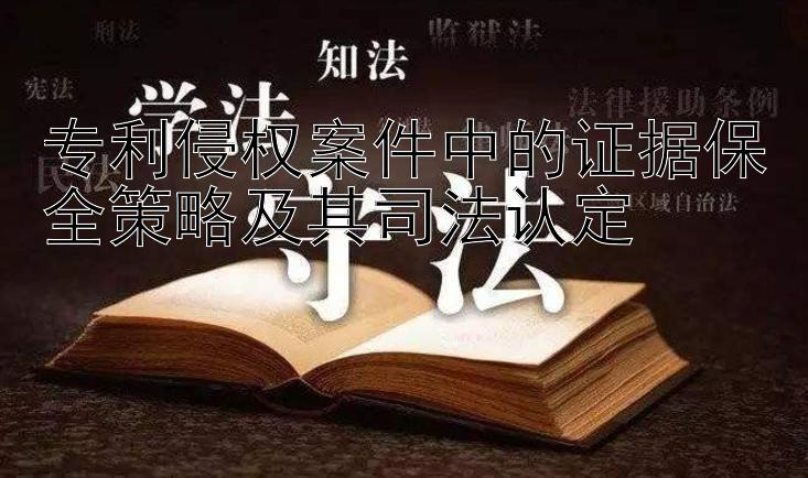 专利侵权案件中的证据保全策略及其司法认定