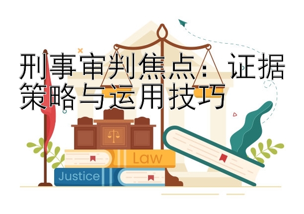 刑事审判焦点：证据策略与运用技巧