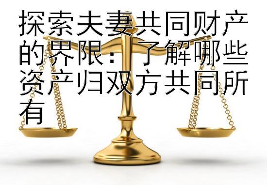 探索夫妻共同财产的界限：了解哪些资产归双方共同所有