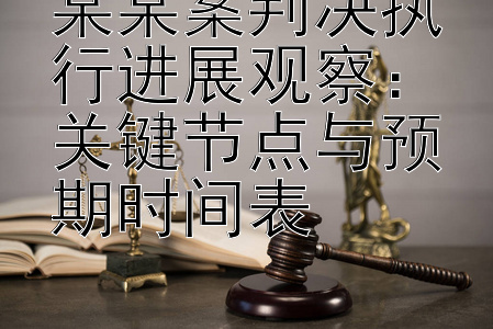 某某案判决执行进展观察：关键节点与预期时间表