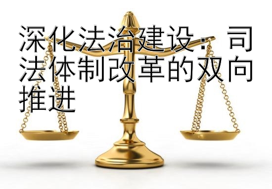 深化法治建设：司法体制改革的双向推进