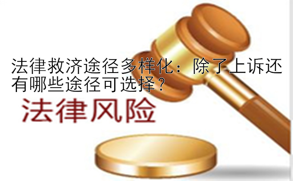 法律救济途径多样化：除了上诉还有哪些途径可选择？