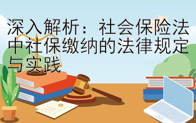 深入解析：社会保险法中社保缴纳的法律规定与实践