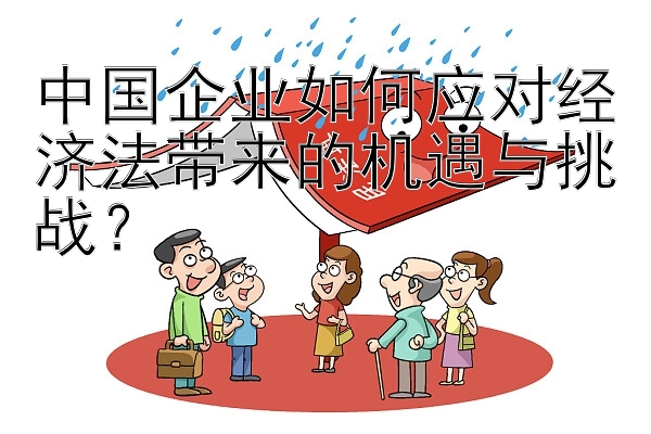 中国企业如何应对经济法带来的机遇与挑战？