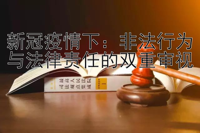 新冠疫情下：非法行为与法律责任的双重审视