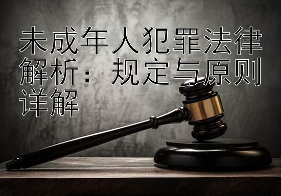 未成年人犯罪法律解析：规定与原则详解