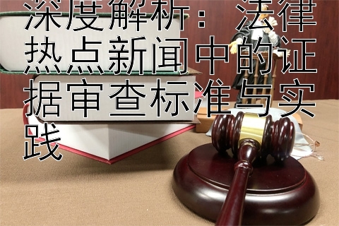 深度解析：法律热点新闻中的证据审查标准与实践