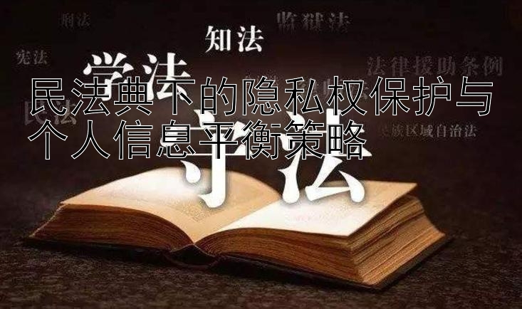 民法典下的隐私权保护与个人信息平衡策略