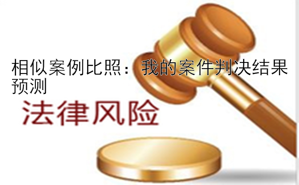 相似案例比照：我的案件判决结果预测