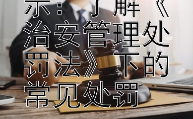 违法行为警示：了解《治安管理处罚法》下的常见处罚