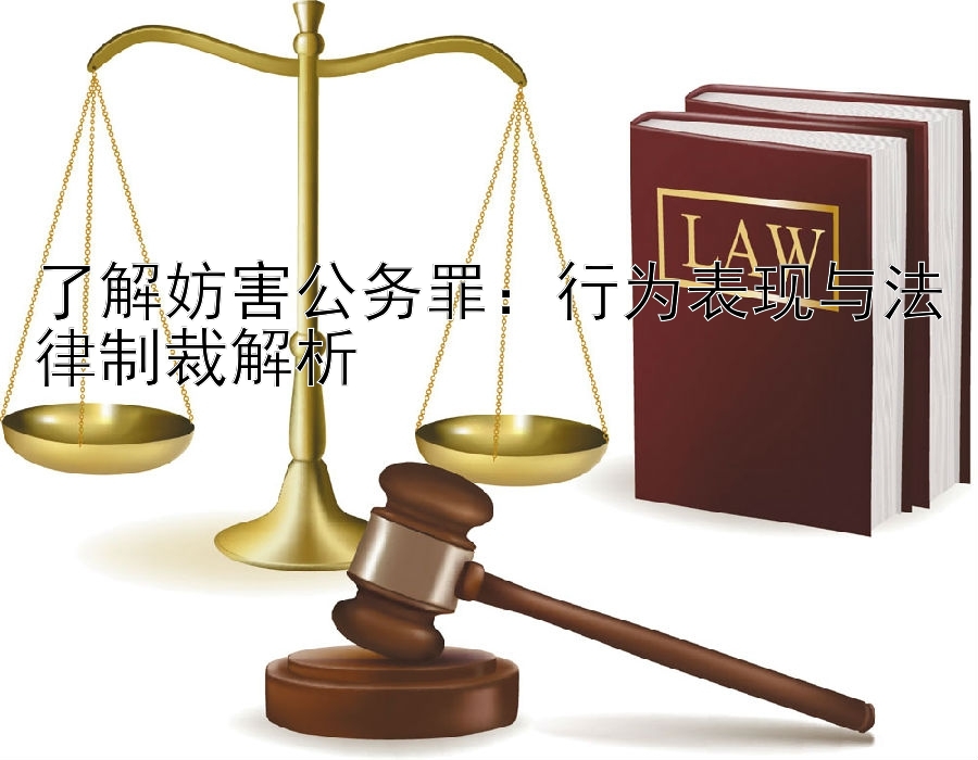 了解妨害公务罪：行为表现与法律制裁解析