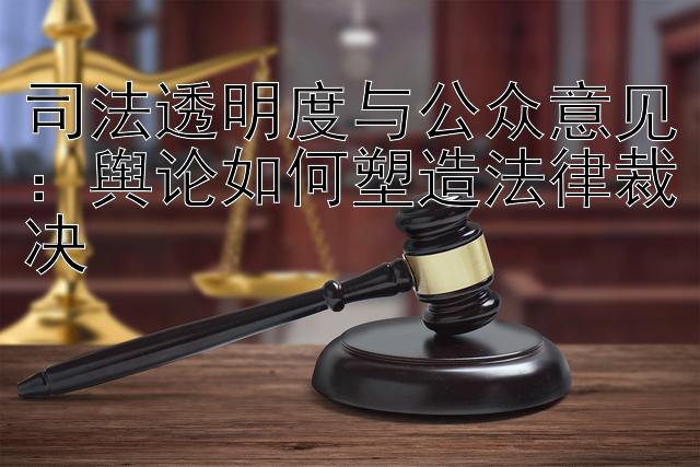 司法透明度与公众意见：舆论如何塑造法律裁决