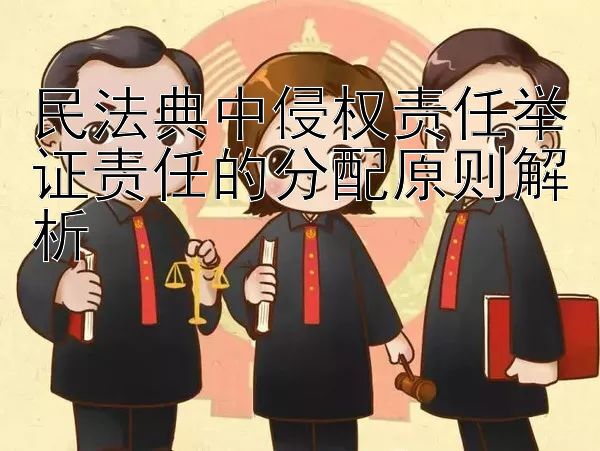 民法典中侵权责任举证责任的分配原则解析