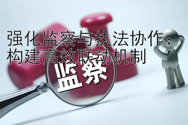 强化监察与执法协作：构建高效联动机制