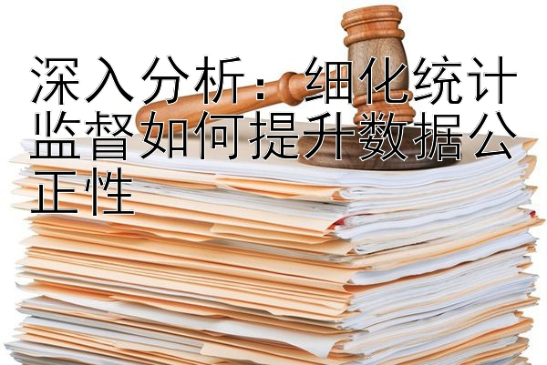 深入分析：细化统计监督如何提升数据公正性