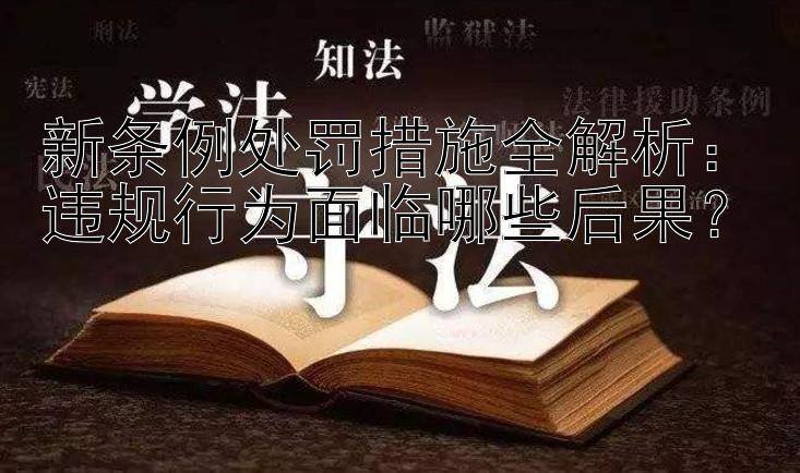 新条例处罚措施全解析：违规行为面临哪些后果？