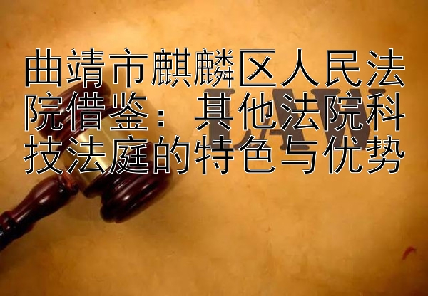 曲靖市麒麟区人民法院借鉴：其他法院科技法庭的特色与优势