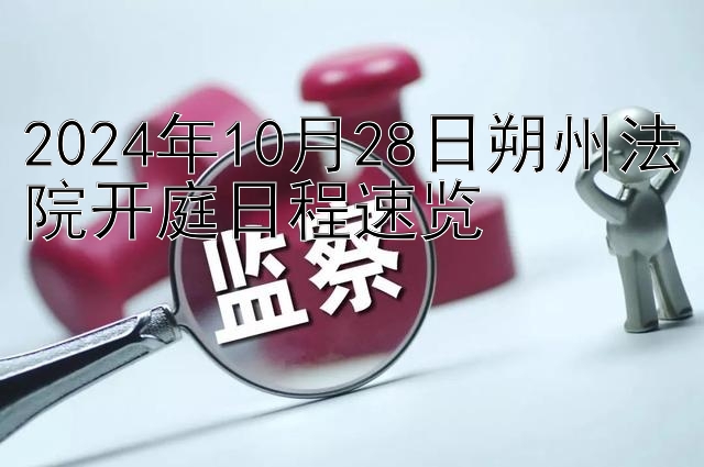 2024年10月28日朔州法院开庭日程速览