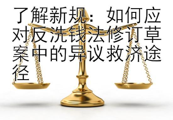 了解新规：如何应对反洗钱法修订草案中的异议救济途径