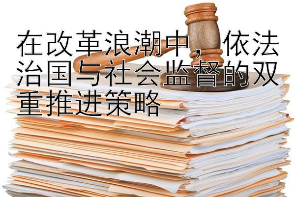 在改革浪潮中，依法治国与社会监督的双重推进策略