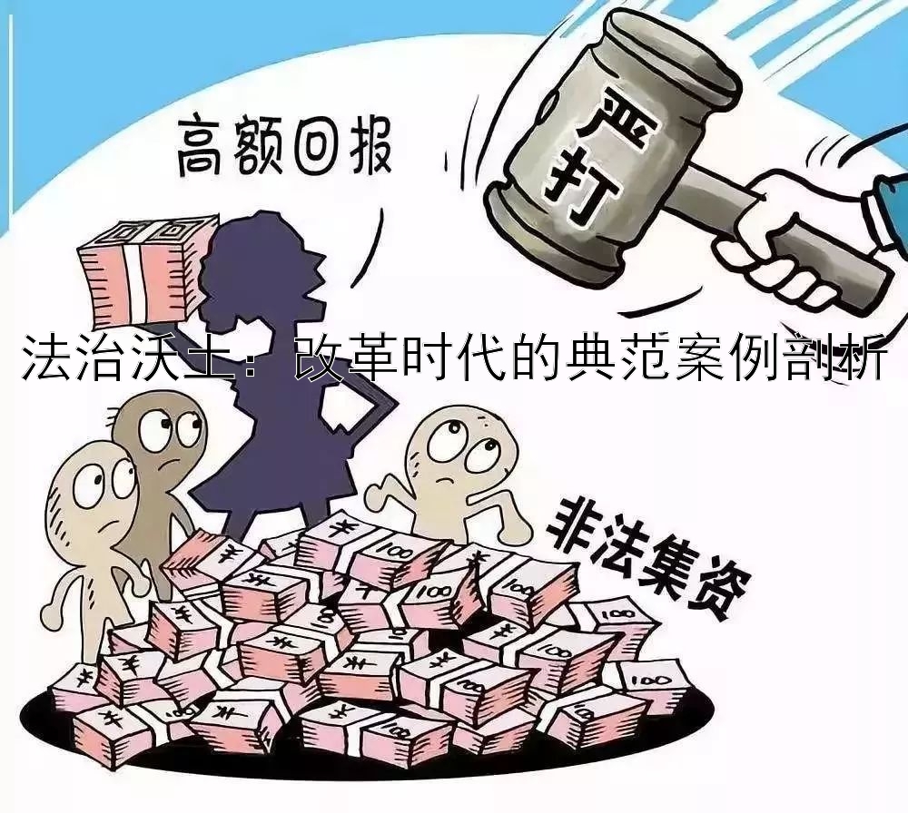 法治沃土：改革时代的典范案例剖析