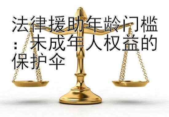 法律援助年龄门槛：未成年人权益的保护伞