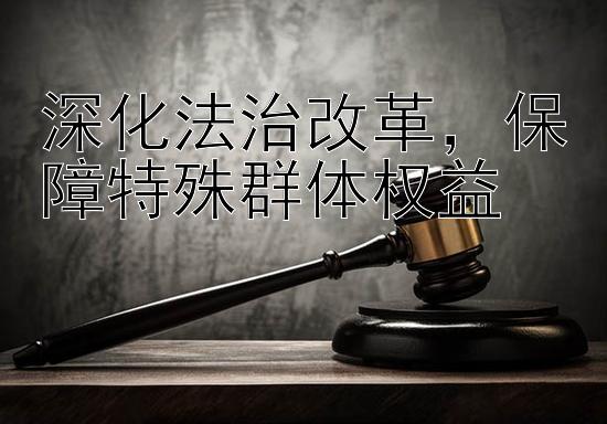 深化法治改革，保障特殊群体权益