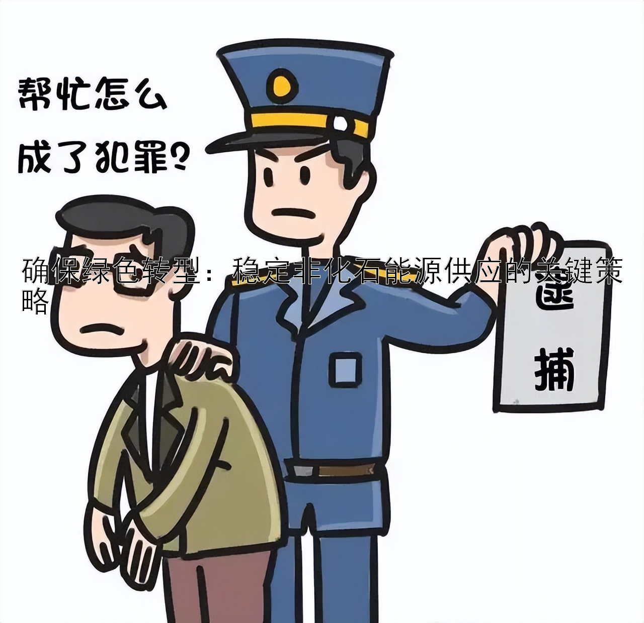 确保绿色转型：稳定非化石能源供应的关键策略