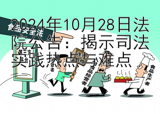 2024年10月28日法院公告：揭示司法实践热点与难点