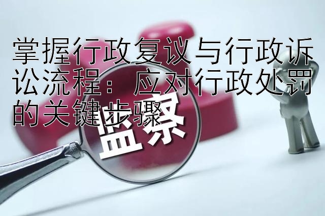 掌握行政复议与行政诉讼流程：应对行政处罚的关键步骤