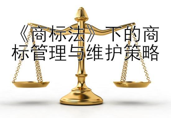 《商标法》下的商标管理与维护策略